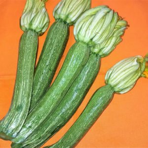 Zucchine acquista su Made in Oltrepò